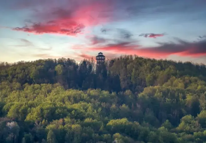 Najlepsze atrakcje w Dukli, które musisz zobaczyć podczas wizyty