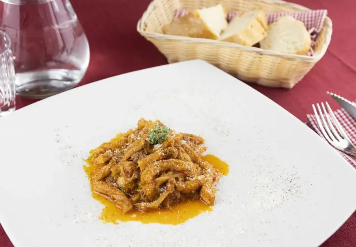 Un piatto di trippa alla fiorentina, saporita e profumata, servita su un piatto bianco con una spolverata di parmigiano.