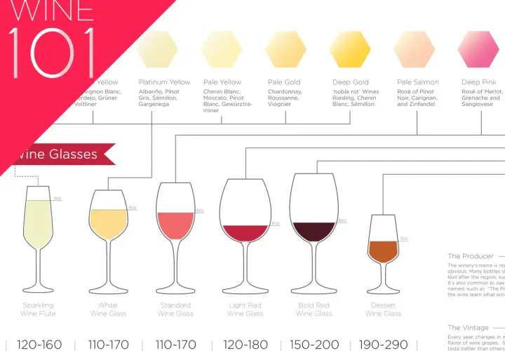 Un tableau millésime vin illustre les couleurs des vins blancs, rosés et rouges, associées à des verres et des calories.