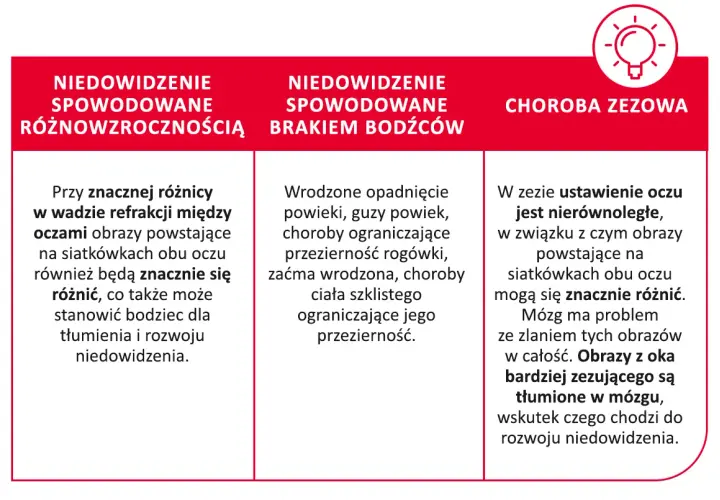 Obraz przedstawia przyczyny niedowidzenia: różnowzroczność, brak bodźców i zez. Leniwe oko może być wynikiem tych schorzeń.