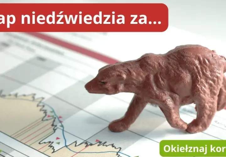 Belgijska giełda: najważniejsze informacje o rynku akcji BEL 20