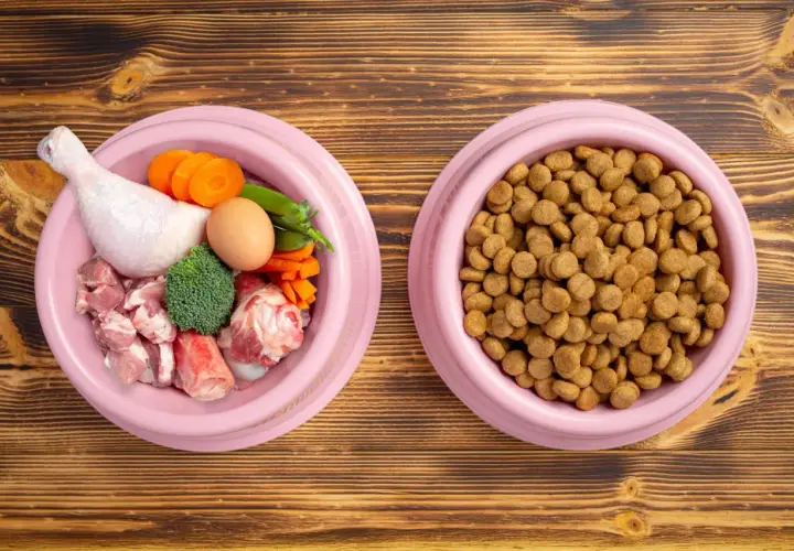 Dos tazones de comida para perros: uno con ingredientes frescos para una dieta natural para perros (pollo, carne, huevo, zanahoria, brócoli) y otro con pienso seco.