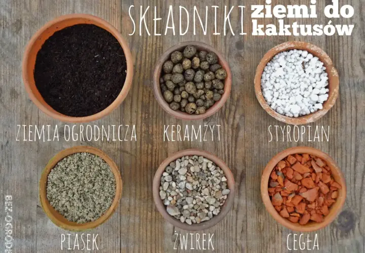 Sześć doniczek z różnymi składnikami do przygotowania idealnej ziemi do kaktusów: ziemia ogrodnicza, keramzyt, styropian, piasek, żwirek i cegła.