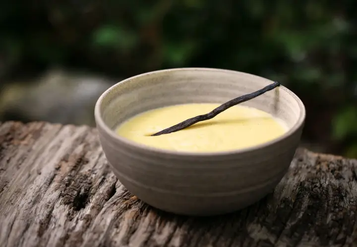 Schüssel mit cremigem Vanillepudding, garniert mit einer Vanilleschote. Perfekt, um Pudding selber machen zu lernen.