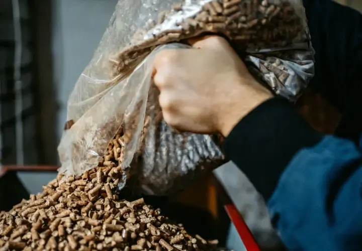 Ręka wsypuje pellet z trocin z worka. Tak powstaje ekologiczne paliwo.
