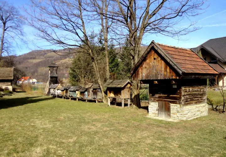 Laskowa Skansen: Odkryj fascynującą historię i unikalne wystawy