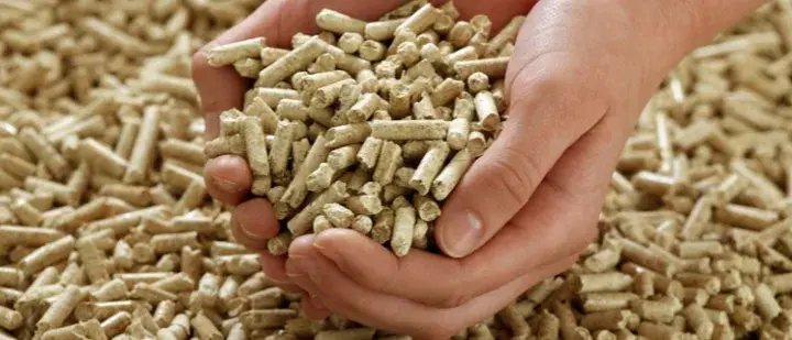 Czy pellet to biomasa? Zaskakujące fakty o ekologicznych źródłach energii