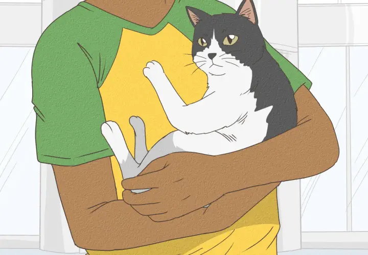 Persona abraza un gato blanco y negro. El gato parece feliz y cómodo. Quizás necesite pienso para gatos sin dientes.