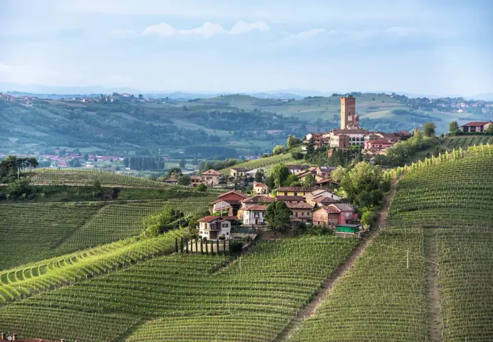 Weinberge umgeben das malerische Dorf Barbaresco in Italien. Ein hoher Turm ragt über die Dächer.