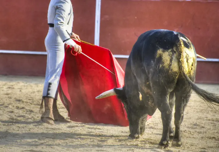 Un torero con traje de luces y capote rojo se enfrenta a un toro negro en la arena. La cuadrilla de toreros se prepara para el siguiente lance.