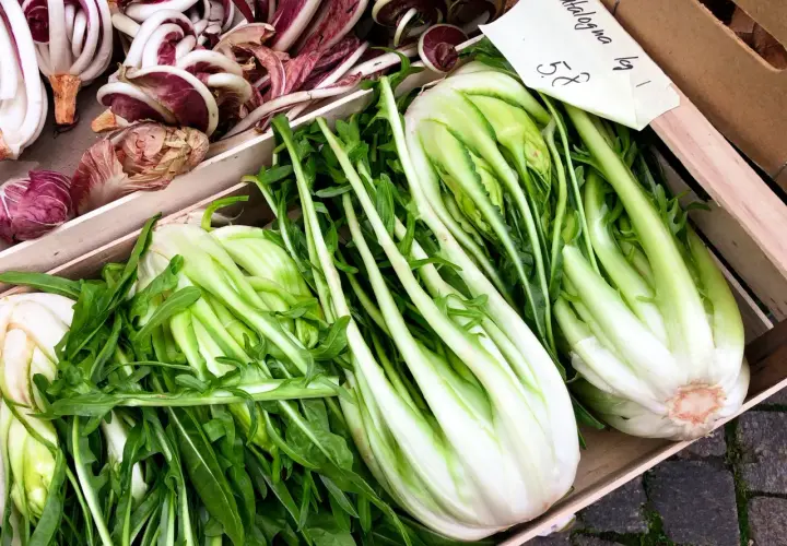 Catalogna verdura fresca e croccante, con radicchio viola in primo piano. Un cesto di bontà salutare.