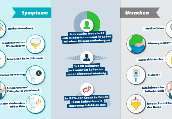 Symptome einer Blasenentzündung: starker Harndrang, tröpfchenweises Wasserlassen, Schmerzen beim Urinieren, nächtlicher Harndrang, Krämpfe im Unterbauch, unangenehmer Urin.