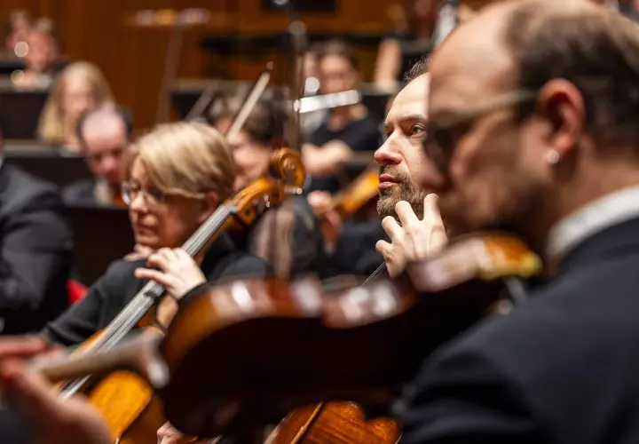 Musiker i orkester spelar cello och fiol. En del av Berwaldhallen program.