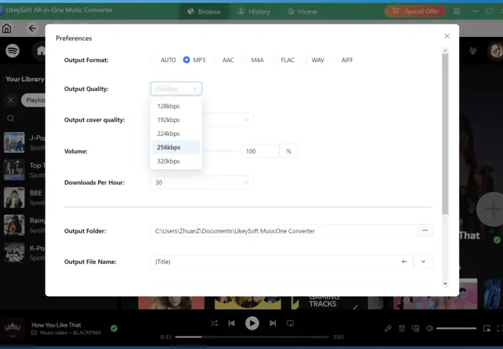 Ustawienia konwertera muzyki: format MP3, jakość 256kbps, idealne do pobierania k-pop utworów.