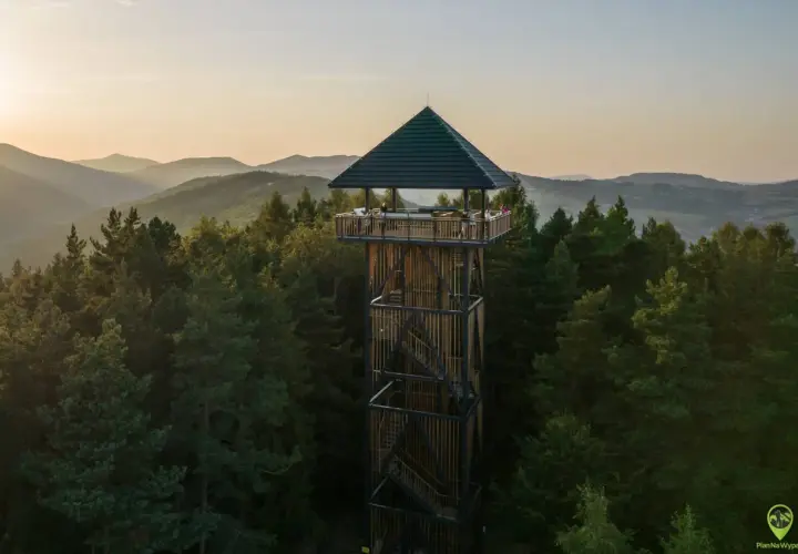 Wieża widokowa w otoczeniu lasu, z której rozpościera się panorama na beskid wyspowy szczyty.
