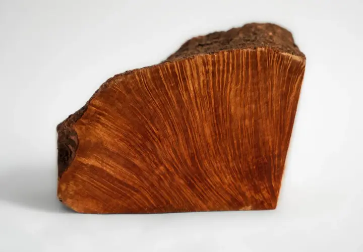 Un pezzo di legno con venature ondulate e un colore caldo, che evoca il significato profondo della radica, simbolo di forza e resilienza.
