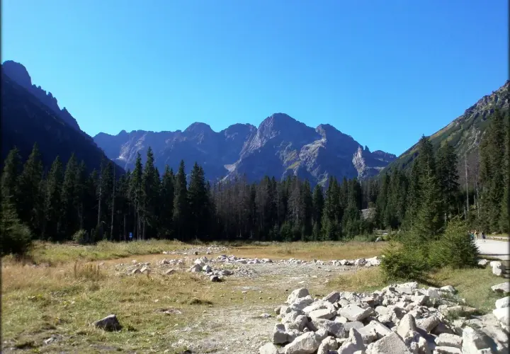 Widok na Tatry, szczyty Rysy 2499 czy 2503 w oddali, las i kamienista dolina.