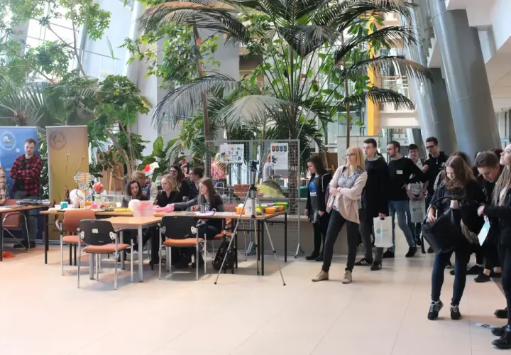 Jakie są dziedziny biologii? Poznaj główne nauki biologiczne i ich zastosowania