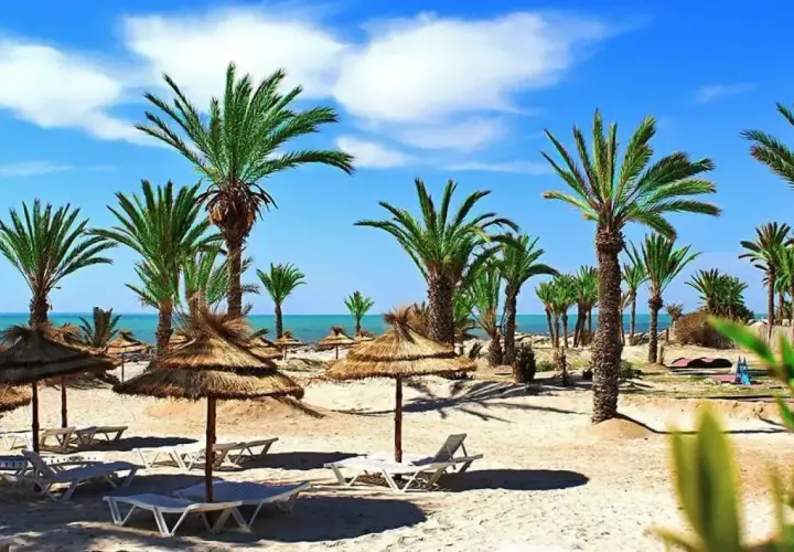 Plaża na Djerbie z palmami i słomianymi parasolami, jak z królewskiego Karthago. Idealne miejsce na relaks.