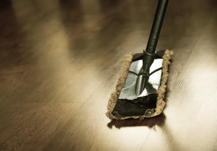 Un mocio su un pavimento in legno, pronto per iniziare a lavare il pavimento.