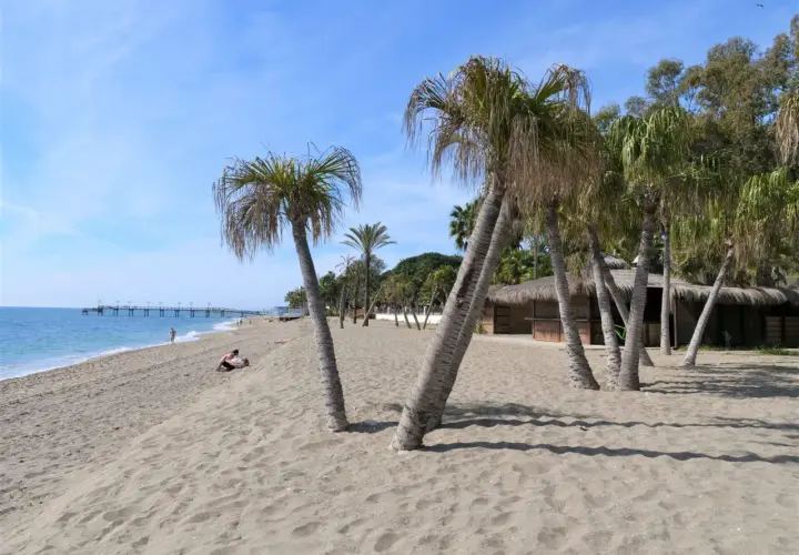 Plaża w Marbelli z palmami, piaskiem i budynkiem z dachem krytym strzechą. W oddali widać molo i błękitne morze.