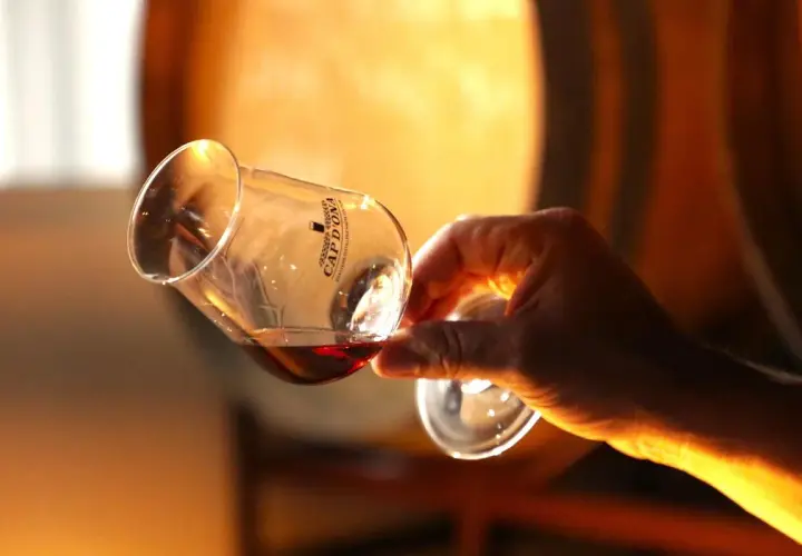 Dégustation d'un whisky ambré dans un verre tulipe, en arrière-plan des fûts de vieillissement. Un moment de plaisir qui pourrait bien lui valoir des **world whisky awards**.