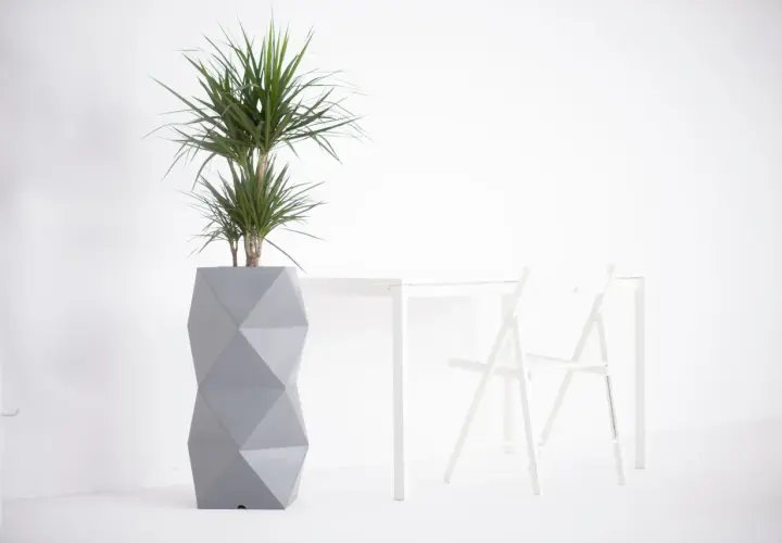Nowoczesna, geometryczna donica idealnie pasuje do juki domowej, tworząc stylowy akcent w minimalistycznym wnętrzu.