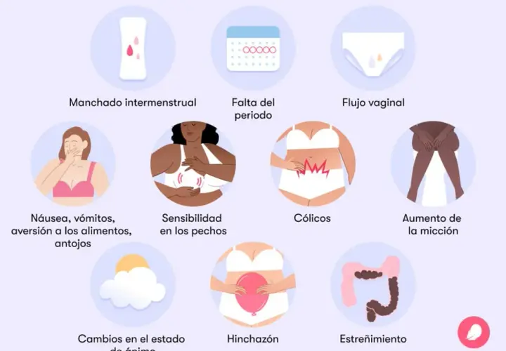 Síntomas de embarazo: señales que no puedes ignorar en tu cuerpo