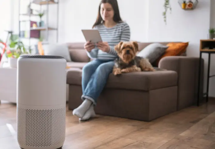 Purificador de aire en primer plano, mientras una mujer y su perro disfrutan del hogar, demostrando los beneficios de un purificador de aire para un ambiente más saludable.