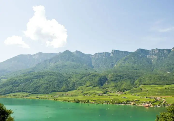 Türkiser Kalterer See mit grünen Weinbergen und Bergen im Hintergrund.