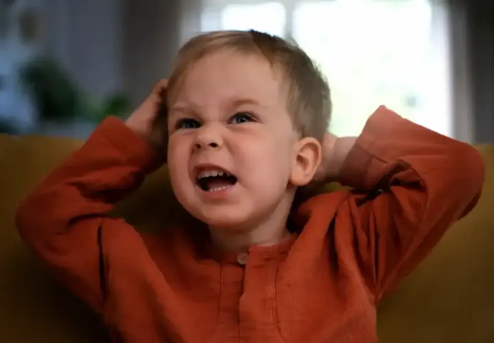 Niño de 3 años con expresión de frustración, agarrándose la cabeza. ¡Los terribles 3 años en todo su esplendor!