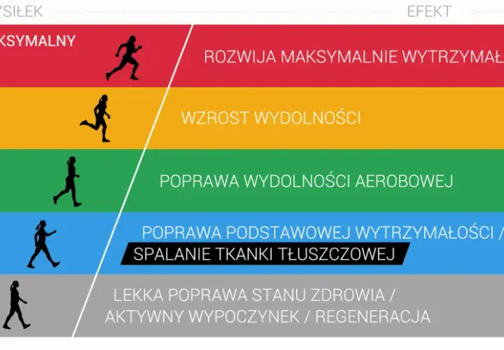 Grafika przedstawia poziomy wysiłku i ich efekty, od bardzo ciężkiego treningu aerobowego rozwijającego wytrzymałość i szybkość, po bardzo lekki poprawiający zdrowie.
