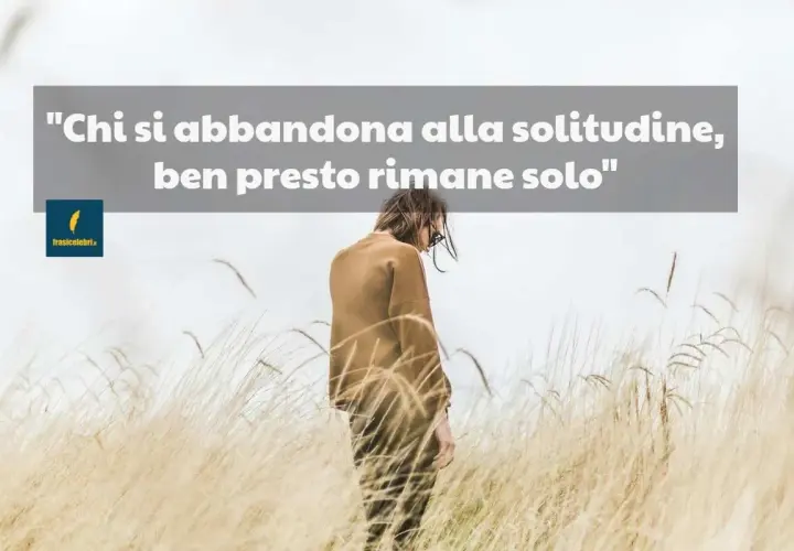 Una persona sola in un campo di erba alta, con la scritta "Chi si abbandona alla solitudine, ben presto rimane solo". Mi sento così, non ho amici.
