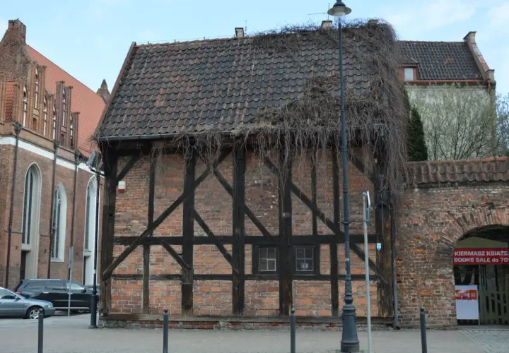 Stare kamienice w Gdańsku, z charakterystyczną cegłą i drewnianą konstrukcją, porośnięte bluszczem.