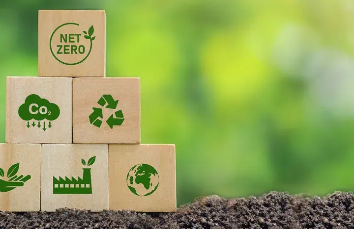 Recykling organiczny: jak przetwarzać odpady i chronić środowisko w prosty sposób