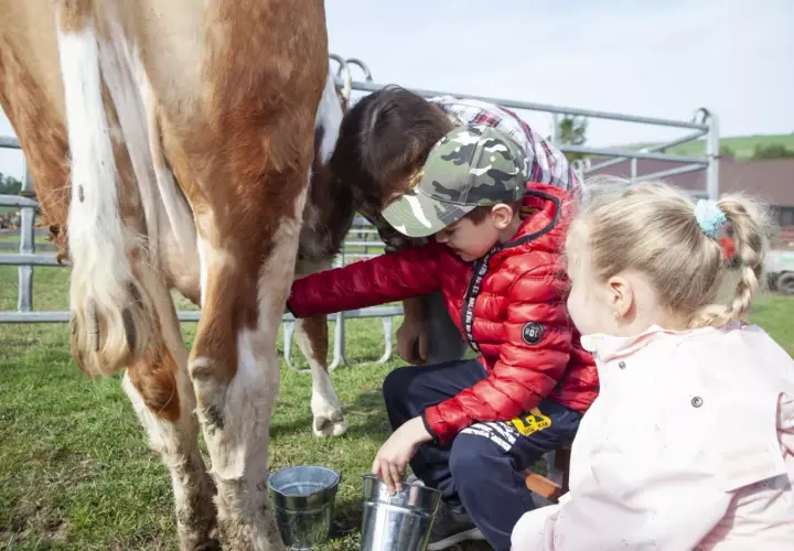 Zagroda edukacyjna: Więcej niż agroturystyka pełny przewodnik