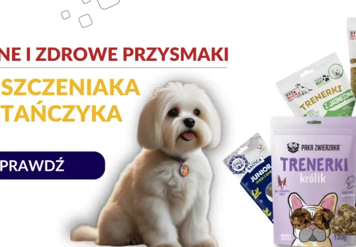 Jakie smakołyki dla szczeniaka? Wybierz mądrze! Porady eksperta