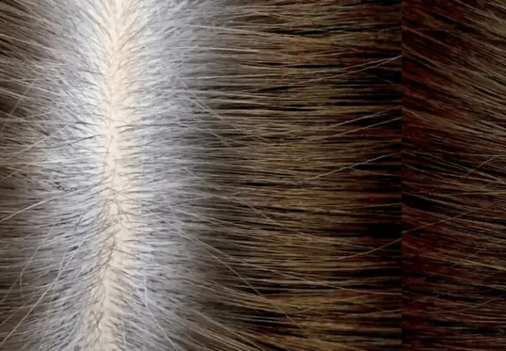 Cabello con raíces grises y puntas oscuras. La pregunta es: ¿cada cuánto tiempo se puede teñir el pelo para mantener este look?