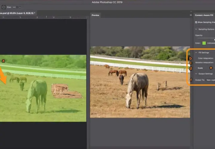 Photoshop-Fenster zeigt die Funktion "Inhaltsbasiert füllen" mit einer Kuhauswahl auf einer Weide mit Pferden. Einstellungen für das Füllen sind sichtbar.