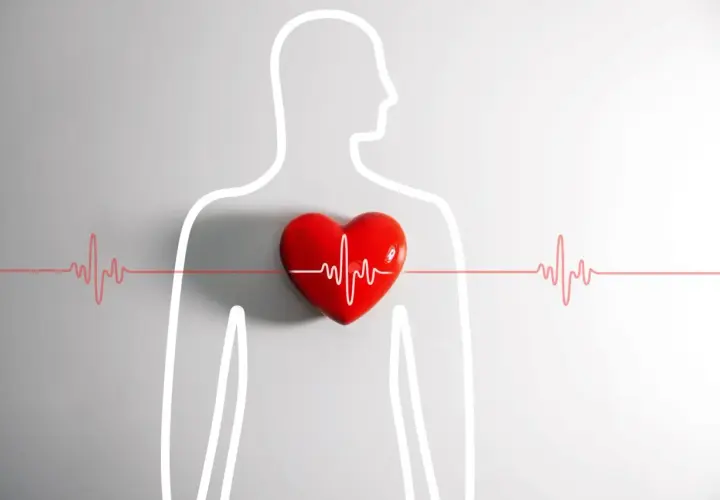 Czerwone serce z linią EKG na tle zarysu ludzkiej sylwetki. Symbolizuje zdrowie i bicie serca, jakby w naszych "potach" życia.