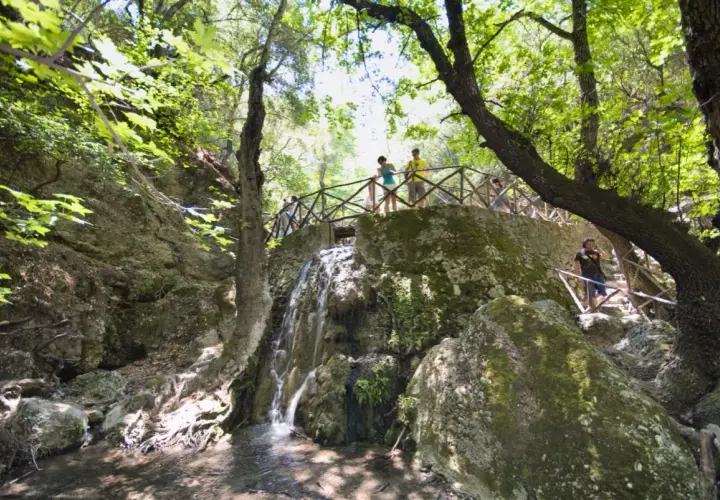 Besucher genießen die malerische Aussicht im Schmetterlingstal auf Rhodos. Ein kleiner Wasserfall plätschert über moosbewachsene Felsen, während ein Holzsteg die Wanderer durch die grüne Landschaft führt.