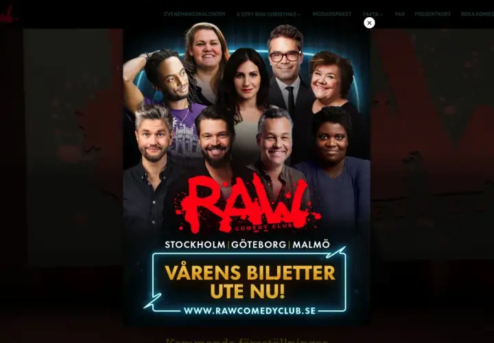En grupp glada komiker från Raw Comedy Club i Stockholm. Vårens biljetter är ute nu!