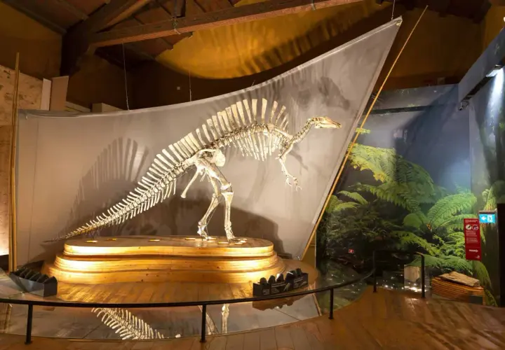 Squelette de dinosaure exposé dans un musée histoire naturelle Venise, sur fond de végétation luxuriante.