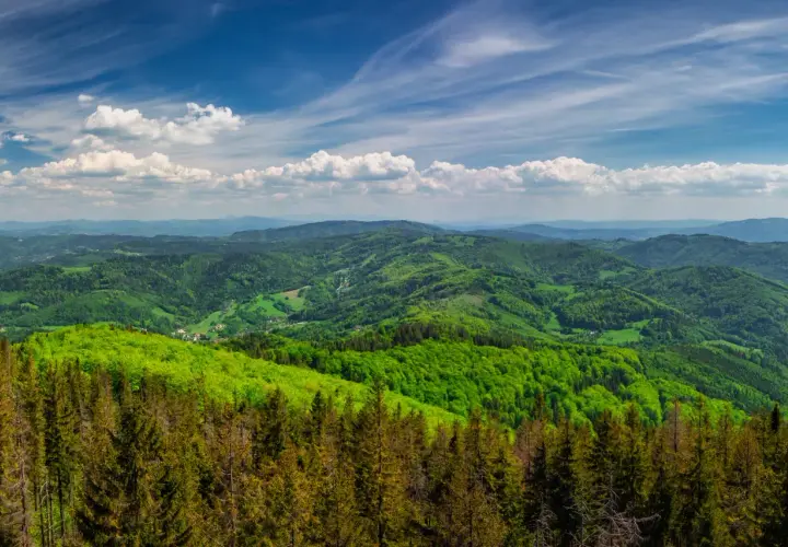 Widok na zielone wzgórza Beskidu Śląskiego, gdzie w oddali majaczą trzy kopce wiślańskie.