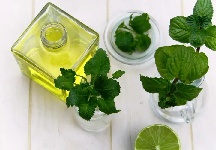 Aceite amarillo en botella, menta y lima, ingredientes para un enjuague bucal para llagas casero.