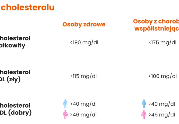 Normy cholesterolu: Jak czytać wyniki i dbać o serce?