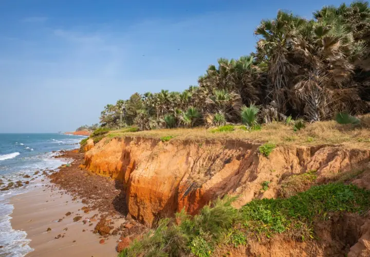 Piękne, piaszczyste plaże i klify z palmami, idealne na gambia wakacje. Oceaniczne fale rozbijają się o brzeg.