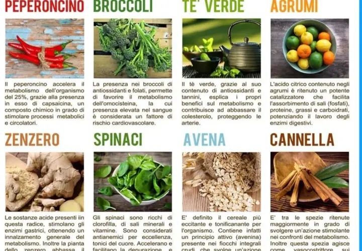 Peperoncino, zenzero e cannella: cibi che aiutano il metabolismo lento. Scopri cosa fare per stimolare il tuo corpo.