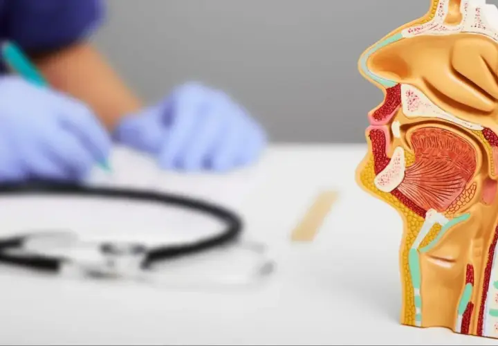Model anatomiczny krtani, ukazujący jej budowę. W tle lekarz w rękawiczkach bada pacjenta, być może z podejrzeniem polipa w krtani.