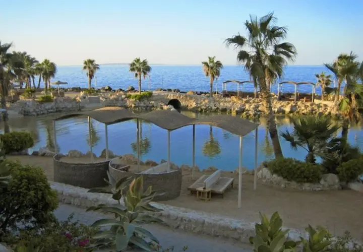 Relaks przy wodzie w Albatros Citadel Sahl Hasheesh. Palmy, kamieniste brzegi i zaciszne miejsca do odpoczynku.